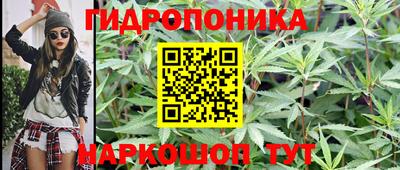 jwh Моздок