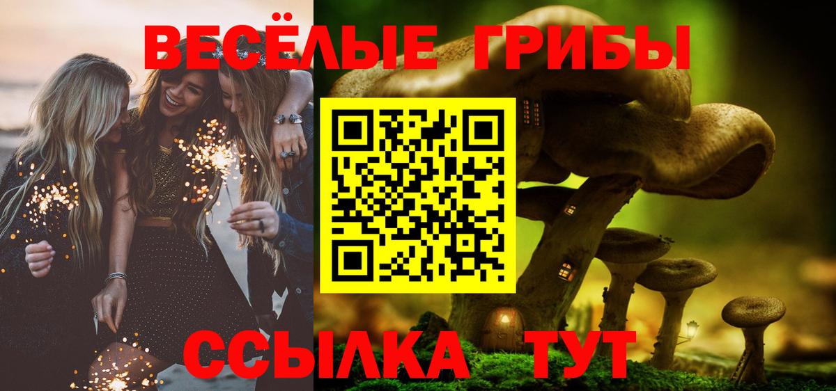 Галлюциногенные грибы Psilocybe Сергиев Посад
