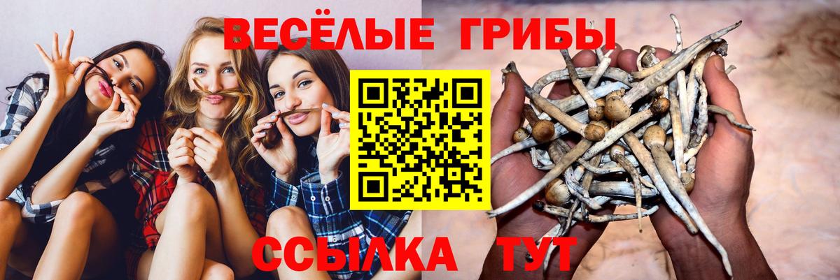 Сергиев Посад  Псилоцибиновые грибы мухоморы  Вход с VPN 